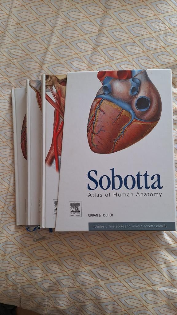 Sobotta Atlas of Human Anatomy 15e editie, Ophalen of Verzenden