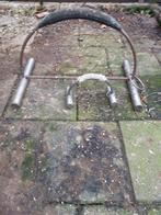 Sprengels voor roofvogels, Dieren en Toebehoren, Mannelijk