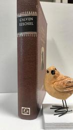 Calvijn, Joh.; Verklaring van de Bijbel : Ezechiël, Boeken, Ophalen of Verzenden, Gelezen, Christendom | Protestants