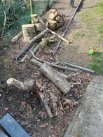 Boomstammen en takken voor kachelhout, Tuin en Terras, Haardhout, Minder dan 3 m³, Ophalen, Overige houtsoorten, Stammen