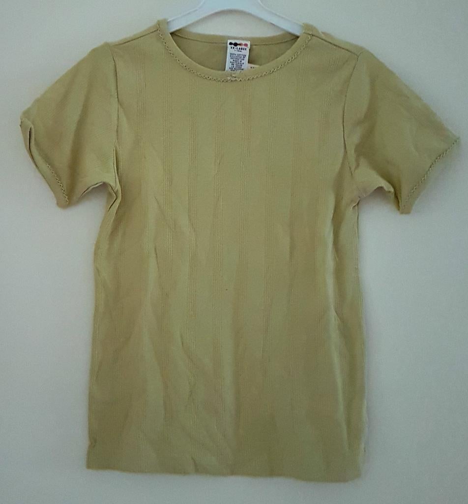 Groen Gymboree shirt maat 98 *NIEUW* (0484) a, Kinderen en Baby's, Kinderkleding | Maat 98, Meisje, Gymboree, Nieuw, Ophalen of Verzenden