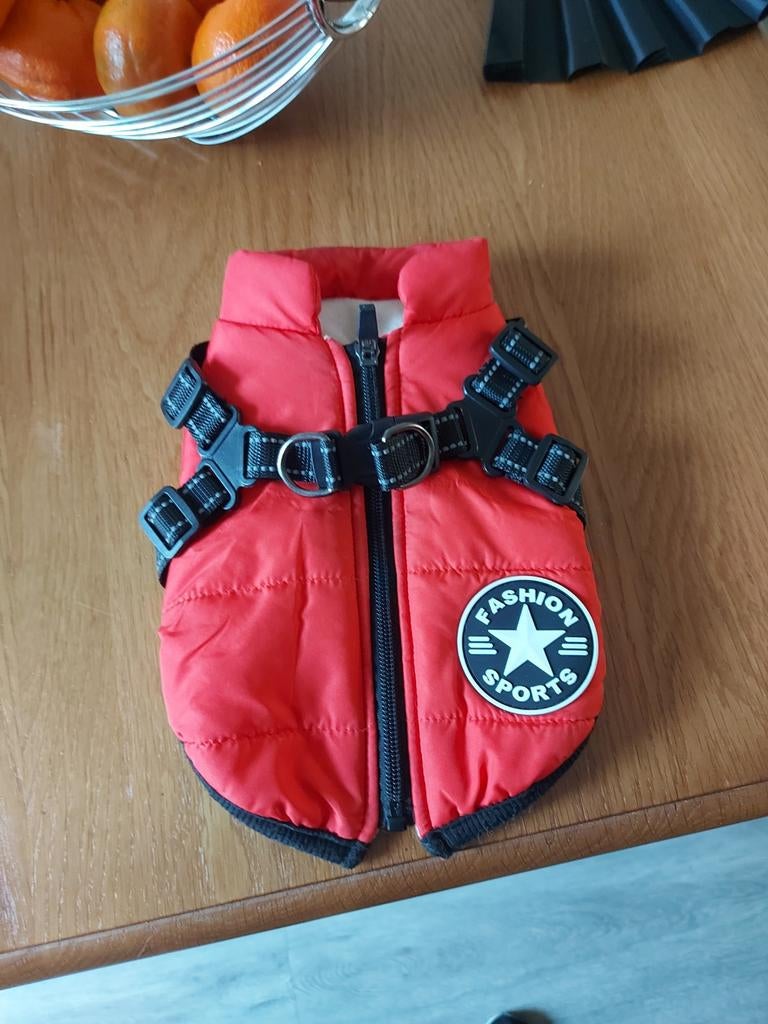 Hondenjas te Koop, Ophalen of Verzenden, Zo goed als nieuw, Hondenjas