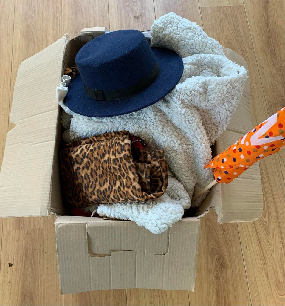 Grote doos vol carnavalskleding en accessoires, Hobby en Vrije tijd, Feestartikelen, Ophalen, Gebruikt