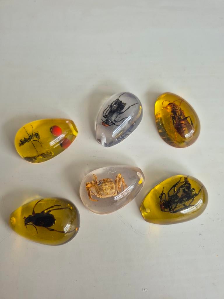 Insecten en krabben in hars - Decoratieve set, Verzamelen, Dierenverzamelingen, Ophalen of Verzenden