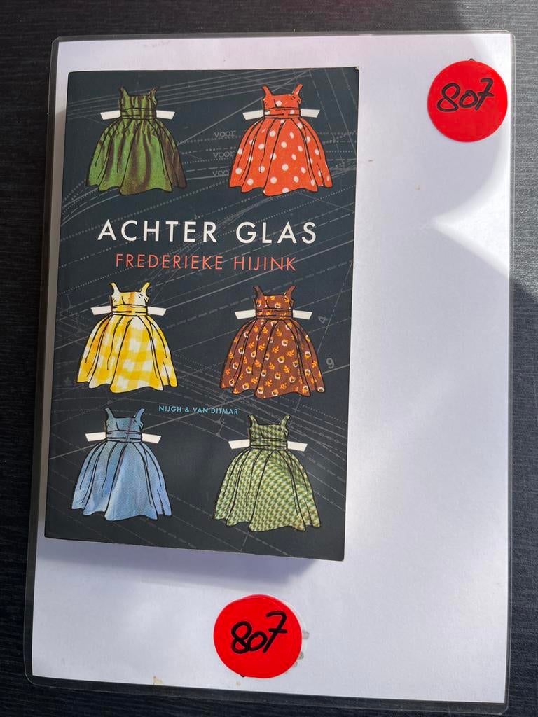Achter Glas - Frederieke Hijink (Nijgh & Van Ditmar), Boeken, Ophalen of Verzenden, Zo goed als nieuw, Nederland