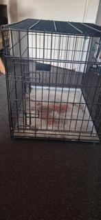 Stevige benche voor kleine honden of puppy's, Dieren en Toebehoren, Ophalen of Verzenden, Minder dan 75 cm, Minder dan 65 cm