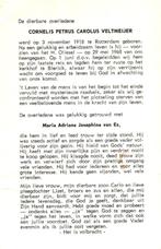 Veltmeijer Cornelis Petrus C. Rotterdam 1918-1968 Blerick, Ophalen of Verzenden