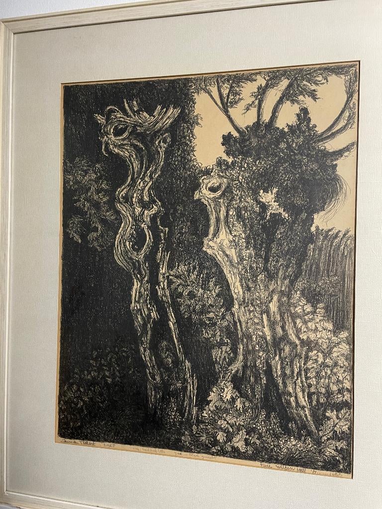 Knotwilgen - originele houtdruk litho - Jan van den Tillart, Ophalen of Verzenden