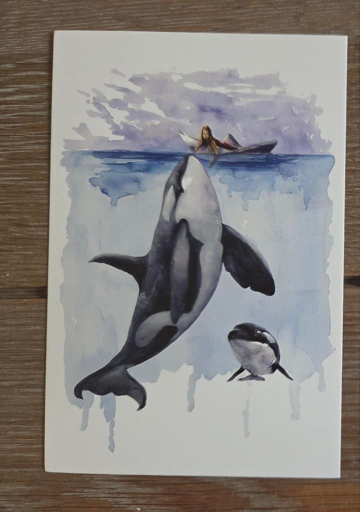 ORKA MET JONG meerdere beschikbaar, Ophalen, 1980 tot heden, Hond of Kat