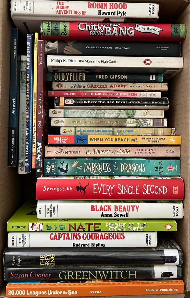 English books for children and teens, Boeken, Partijen en Verzamelingen, Gelezen, Ophalen of Verzenden