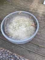 Tuin decoratie waterbak plantenbak moestuin, Ophalen, Overige materialen, Gebruikt, Minder dan 30 cm
