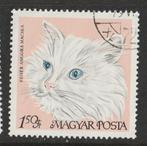 Hongarije 1968 - White Angora - Poes, Ophalen of Verzenden, Gestempeld