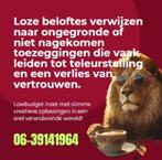Unieke Canva videos op maat voor sociale media, Variabele uren, Overige niveaus, Vanaf 10 jaar, Overige vormen