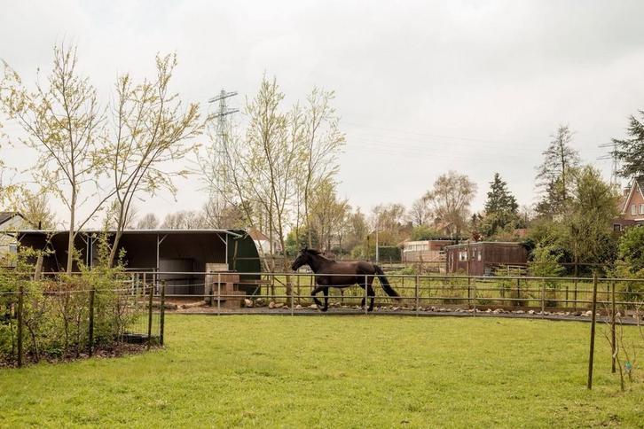 Paddock paradise voor 1 paard of 2 pony's, Dieren en Toebehoren, Stalling en Weidegang