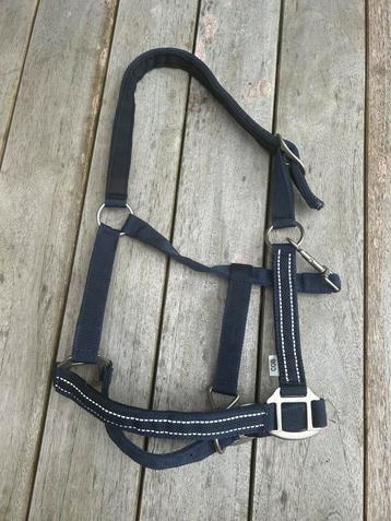 Paardenspullen te koop voor een leuk prijsje! beschikbaar voor biedingen