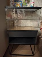 Terrariumkast 60x40x110, Dieren en Toebehoren, Ophalen, Gebruikt, Minder dan 75 cm, 90 cm of meer