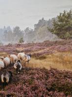 prent schapen op de veluwe, Huis en Inrichting, Woonaccessoires | Schilderijen, Tekeningen en Foto's, Ophalen of Verzenden