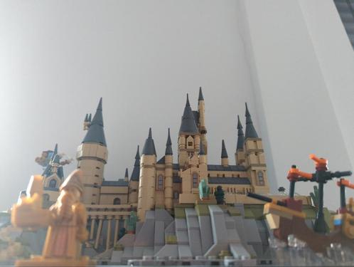 LEGO Harry Potter – Hogwarts Castle and Grounds (76419), Kinderen en Baby's, Speelgoed | Duplo en Lego, Zo goed als nieuw, Ophalen of Verzenden