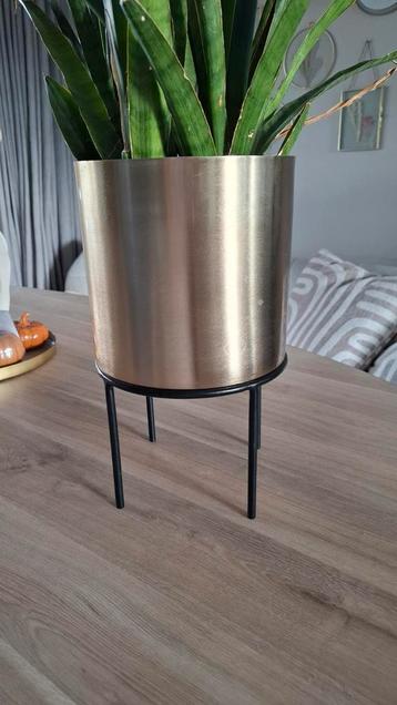 Gouden Bloempot Leenbakker beschikbaar voor biedingen