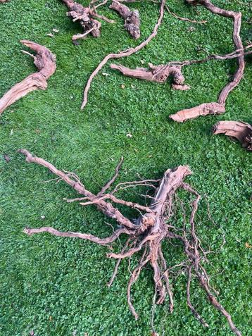  Decoratieve druivenranken 10–150 cm | Natuurdecoratie beschikbaar voor biedingen