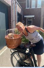 Fietsmand hond, Fietsen en Brommers, Fietsaccessoires | Fietsmanden, Ophalen, Gebruikt, Fietsmand