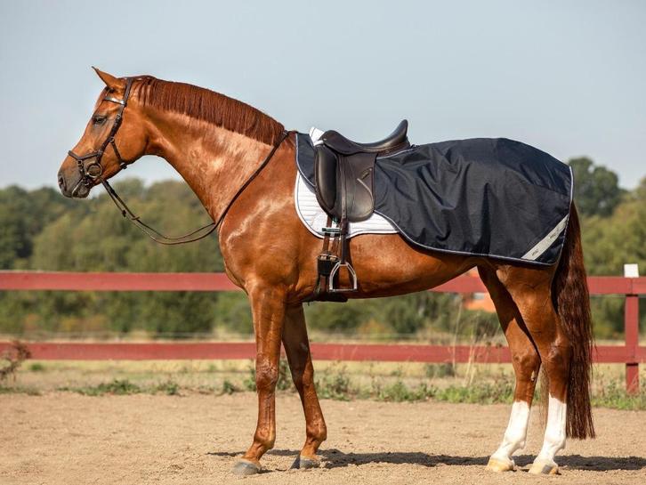 Amigo Ripstop Exercise Sheet Uitrijdeken, S, M, L en XL, Dieren en Toebehoren, Paarden en Pony's | Dekens en Dekjes, Nieuw, Deken