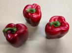 Exclusief decoratie paprika nieuw twv € 20,00!, Ophalen of Verzenden, Nieuw