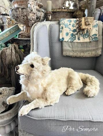 Per Sempre,Prachtige Victoriaanse Pyjama Hond beschikbaar voor biedingen