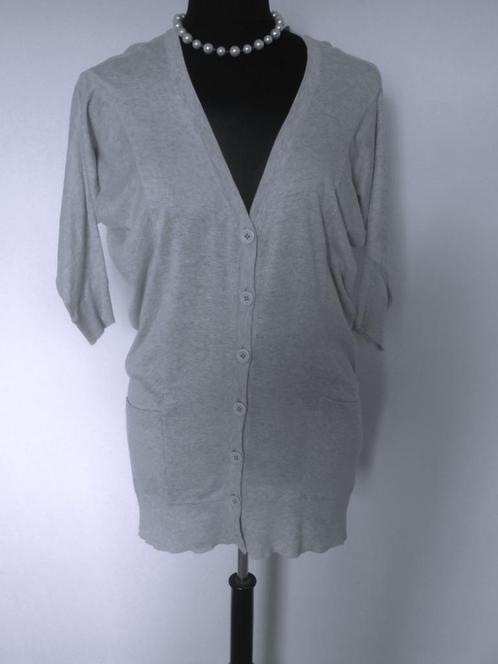 Repeat - prachtig lichtgrijs vest - 42, Kleding | Dames, Truien en Vesten, Zo goed als nieuw, Maat 42/44 (L), Grijs, Verzenden