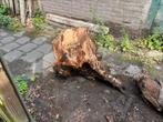 Douglas boomstronk, Ophalen, Gebruikt, Overige typen, 50 mm of meer