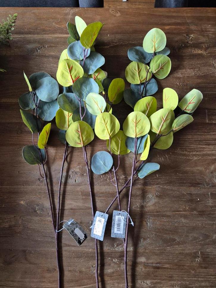 Eucalyptus Takken - 80cm Decoratie, Huis en Inrichting, Woonaccessoires | Kunstplanten en Kunstbloemen, Nieuw, Binnen, Ophalen of Verzenden