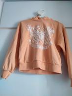 Hoodie 134/140, Kinderen en Baby's, Kinderkleding | Maat 140, Ophalen of Verzenden, Gebruikt, Meisje, Trui of Vest