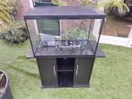 Aquarium en kast, Dieren en Toebehoren, Vissen | Aquaria en Toebehoren, Ophalen, Leeg aquarium
