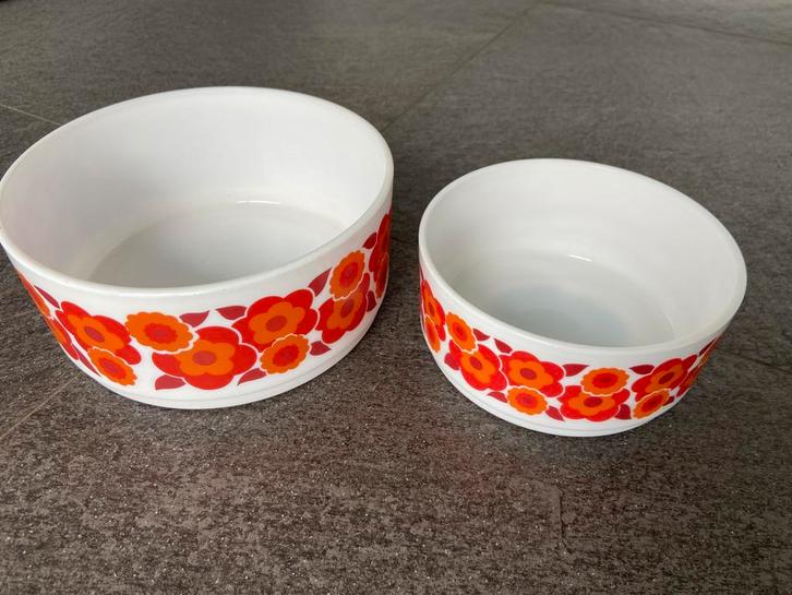 2 vintage retro Acropal schalen France rood oranje bloemen, Antiek en Kunst, Curiosa en Brocante, Ophalen of Verzenden