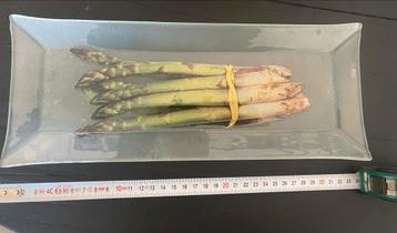 Vintage Glazen Aspergeschaal beschikbaar voor biedingen