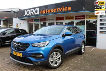 Opel Grandland X 1.2 Turbo Business Executive *NAJAARSKORTIN beschikbaar voor biedingen