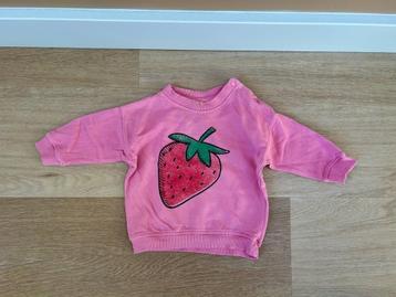 Z.g.a.n. Roze trui / sweater met aardbei, Zeeman, maat 74 beschikbaar voor biedingen