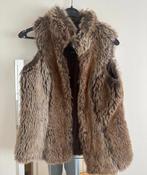 Gilet bont maat S/M, Ophalen of Verzenden, Zo goed als nieuw, Maat 38/40 (M)