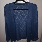 Vesten Maat L - Groen, Blauw, Bruin + Roze (gratis), Kleding | Dames, Truien en Vesten, Ophalen of Verzenden, Zo goed als nieuw