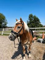 Leuke leaser gezocht, Ophalen of Verzenden, Overige soorten