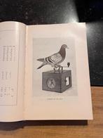 Duivensportboek C.A.M. Spruijt: De Postduif van A-Z, Boeken, Ophalen of Verzenden, Gelezen, C.A.M. Spruijt, Overige sporten