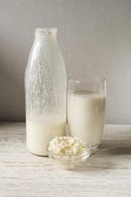Melk kefir korrels - 40 gram - voor 0,5 liter kefir, Ophalen