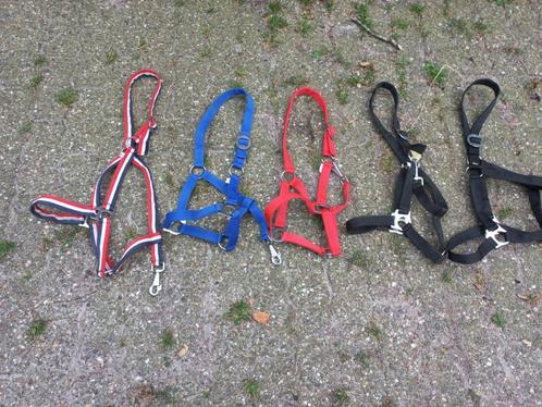 Nieuwe halsters diversen maten kleuren, Dieren en Toebehoren, Paarden en Pony's | Hoofdstellen en Tuigage, Nieuw, Overige soorten