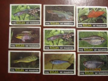 Lucifer Etiketten Rizla Vissen 9 Stuks beschikbaar voor biedingen