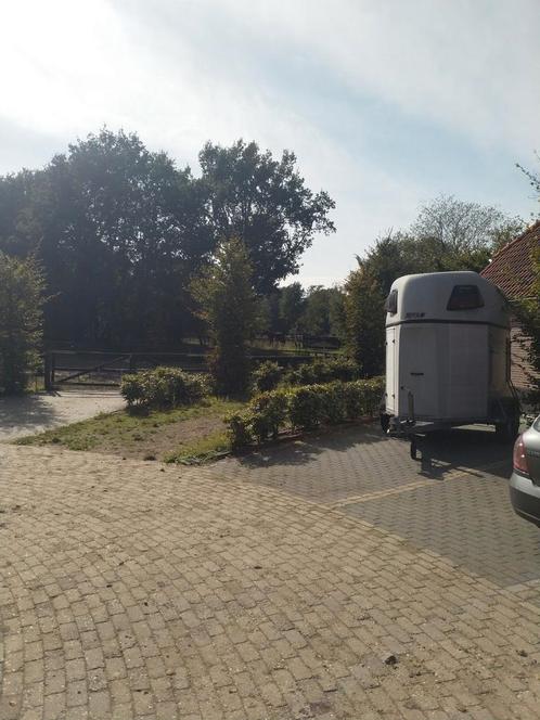 Pensionstalling op een mooie locatie, Dieren en Toebehoren, Stalling en Weidegang, Weidegang