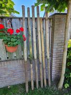 Tuinpalen, Tuin en Terras, Palen, Balken en Planken, Ophalen, Zo goed als nieuw, 180 tot 250 cm, Palen