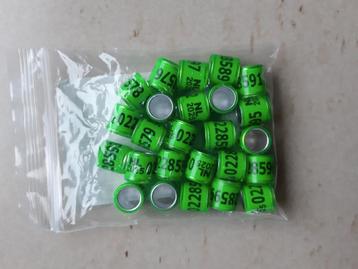 Duiven ringen 8mm beschikbaar voor biedingen