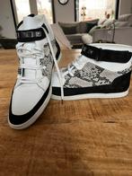 Floris van Bommel, Ophalen, Nieuw, Blauw