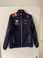 Nieuwe donkerblauwe jas Max Verstappen Red Bull., Puma, Blauw, Nieuw, Ophalen of Verzenden