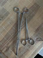 Tangen snoek, Ophalen of Verzenden, Overige typen